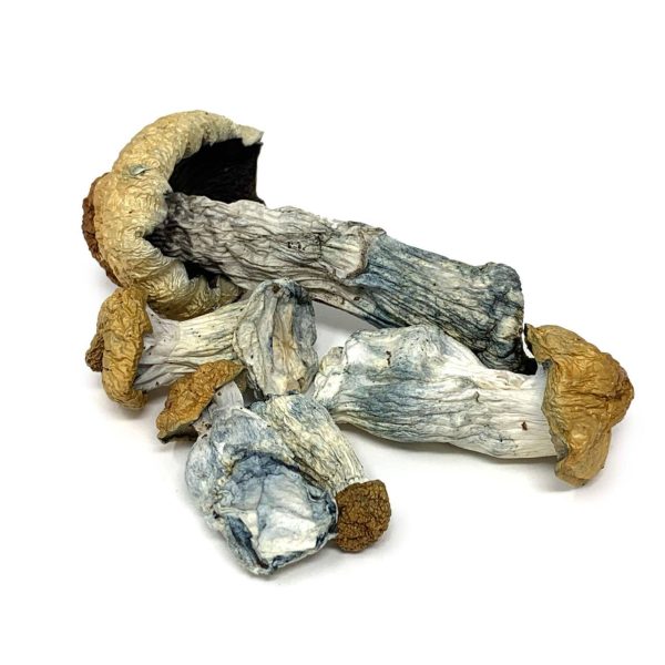 Psilocybin Mushrooms - Image 4