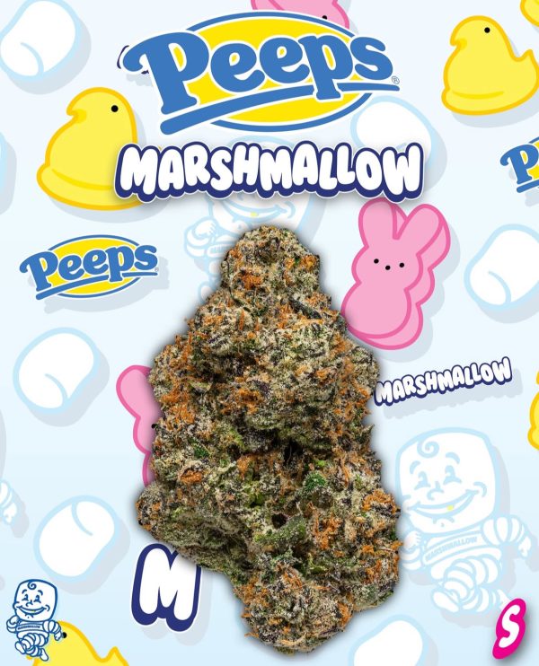 PEEPS MARSHMALLOW
