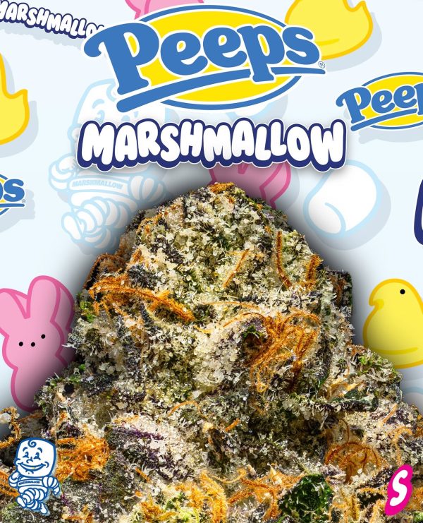PEEPS MARSHMALLOW - Image 2