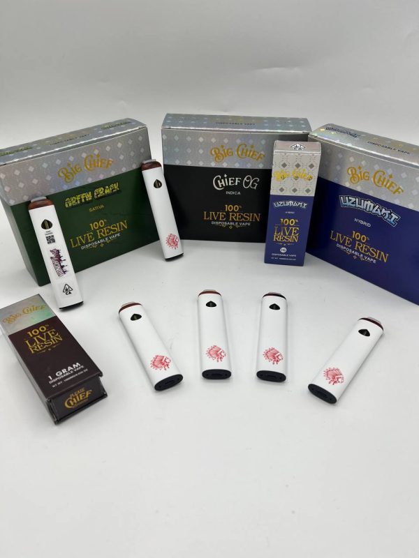 big chief disposable 2g